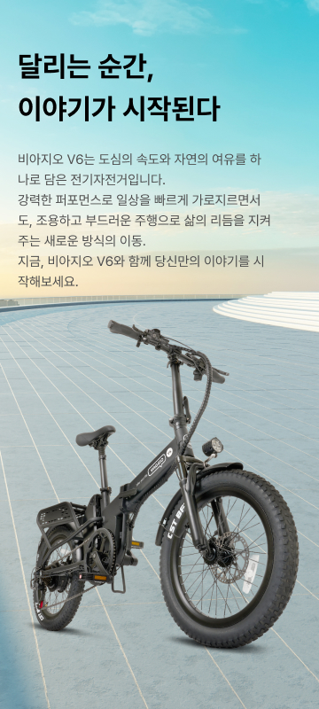 비아지오 V6